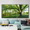 Vert forêt paysage affiches et impressions mur Art toile peinture arbres géants photos pour salon décoration de la maison pas de cadre