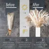 Decorative Flowers & Wreaths 100PCS Bouquet Natural Dried Pampas Grass Flower Boho Home Decor For Wedding Floral