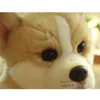 かわいいウェールズのコーギー犬抱きペンブローク子犬リアルライフ抱擁動物ソフトシミュレーション