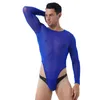 Trajes de roupa de gato masculino lingerie transparente malha bodysutuit de alta corte de corte