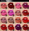 Lip Gloss Brand 34 kleuren Langdurige rode lippen Matte Lipstick Liquid Tint Cosmetische naakt fluweelmake -up make -up