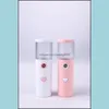 Itens de novidade Decoração de casa Mini Sprayer de névoa de névoa mini 30 ml nano portátil spray face a vapor facial a vapor hidratante ferramentas de cuidados com a pele umidifie