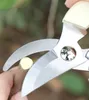 정원 가지 치기 전단 커터 클리퍼 스테인리스 스틸 Sharp Secateurs Professional Hand Pruner 가위 가지 치기 플라이어