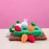 Crianças Educational Toy Pick Up Strawberry Fruits Ground Doll Mini cenouras em uma almofada de terra, presente único para J220704