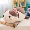 Peluche logiciel chat professeur poupée mignon chaton poupée filles comme des cadeaux