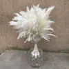 Decorative Flowers & Wreaths Stems White Color Large Size Real Dried Pampas Grass Wedding Decor Flower Bunch Natural Plants Home Fall DecorD