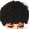 Novas perucas naturais brasileiras sem gluia de renda cheia cabelos humanos curtos perucas para mulheres negras pixie cut2439238