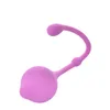 Hygiène féminine Silicone Vagin Kegel Balls Kegel Exercise Weights Doctor Recommandé pour le contrôle de la vessie Exercices du plancher pelvien