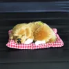 Interior Decorations Car Ornament Plush Dogs Decoration Simulation Sleeping Dog Toy Automotive Dashboard Decor Ornaments Cute Auto Accessori