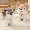 PC CM Cartoon Kawaii Teddy Dog Plush Toys милый хриплый мягкая кукла Красивый подарок для домашних животных для детей J220704