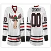 Chen37 C26 Nik1 Christmas Vacation Griswold Hockey Jersey Embroidery Stitched Customize any number and name Jerseys