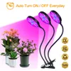 LED Grow Light with 360 Degrees Flexible Clip USB Power Supply Desktop LED Plant Growth