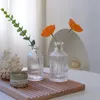 Vasi di vetro trasparente per pentola floreale a bottiglia vegetale Nordico Creativo idroponico di disposizione del terrario idroponico Contenitore Vaso 220527