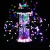 Cordes 5m 10m 100 LEDS FAIRY Light Starry String USB Lights Micro LED Fire transparent pour la fête Mariage de Noël 6 Colorsled