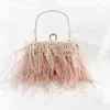 Evening Bags Money Clutch Ostrich Hair Evening Clutch Bags Celebrity Fur Hand Held Banquet Party Pink Bag Pearl Chain Woman Handbag 220328