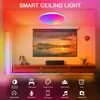 LED plafondverlichting armaturen Flush Mount 12inch 30W Smart plafondlampen RGB Kleur Verandering Bluetooth WiFi App Control 2700K-6500K Dimmable Sync met muziek