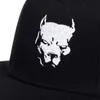 Мода Мужчины Женщины Pitbull Dog Baseball Cap for Hip Hopt Hopt Cotton Trucker Caps Bone Dad Hat Регулируемые шляпы Gorras 220513