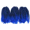 Passion Twist Crochet Cheveux 3 Poules de marcybob Coiffes bouclées coquelures pour les femmes noires Traids Water Wave Traiding Extensions 90g / PCS 8 pouces court
