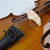 Ny modeprofessionell fiol 4/4 Spruce Veneer Tiger Grain Maple Violin Music Instrument med Box