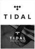 New Tidal Hifi Plus 1 -летний регион Play Free Works на HDD -плеер Android PC Mac IOS Wi -Fi Disceer All Platform Fast Delivery