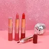 Nieuwste 2 in 1 Fluwelen Matte Lipstick Lipgloss Waterproof Langdurige Lip Stick Lip-vlek Lip-glow Lippenbalsem Lippen Make-up Cosmetische Schoonheid Groothandel ZL0868