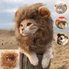 Собачьи игрушки жуют милый льва грива кошачья шапка для собак и кошачья маленькая собачья домашняя кошка аксессуары для декора