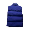 Gilet da uomo 2022 New Down Warm Coat Gilet giovanile Gilet marea Colletto Slim Gilet