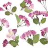 Fiori decorativi ghirlande Begonia Flower Teaching Drop Glue Colore primario non tinto Decorazione da parete per la casa Decorazione di matrimoni sakuradec