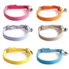 Hundhalsar Leases Leather Cat Collar med Bell Safety Elastic Strap Kitten för katter Svartblå röd orange lime Greendog