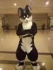 2022 Uzun Kürk Köpek Tilki Maskot Kostümü Fursuit Cadılar Bayramı Takım Karikatür Kıyafetleri