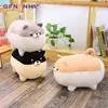 PC CM Cute Fat Shiba inu Dog Cuddle Kawaii выражение животного Corgi Plush Cushion Dolls Decor Kids Gift J220704