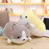 Plush Dolls Corgi Dog Plush Toy Cute Cartoon Kawaii Stuffed Soft Doll Cushion Boys Girls Anti Stress Cushion Pillow Toys For Children Kids 220913