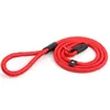 130 cm Pet Dog Nylon Rope Training Leash Slip Lead Strap Justerbar krage dragkraft för små medelstora hundar