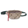 Designer Fanny Pack Heuptas G Bags Dames Heren Packs Aria Bruin Canvas Bumbag Schoudertassen Heren Fannypack Dames Riem Heuptas Che224s