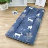 Washable Mattress Tatami Mat Carpets Folding Mattres for Bedroom Sleeping on Floor Folding Mats New 371 R27469859