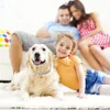 Collare antipulci e zecche per cani e gatti fino a 8 mesi Collare di prevenzione Antizanzare Repellente per insetti Forniture per cuccioli sxjul52219465