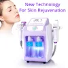 6 I 1 Peneelily Hydro Ultrasonic Facial Skin Care Vacuum Microcurrent LED Beauty Machine
