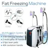 CE Cryolipolysis Lipolaser Machine Fat Freezing Body Sculpture Fat Borttagning 2 Cryo Handtag fungerar tillsammans