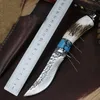 R7106 Damaskus Überleben Gerade Jagdmesser Damaskuss Stähle Drop Point Blades Horn mit Stahlkopfgriff Fixierte Klingenmesser mit Lederscheide