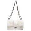 Torby wieczorowe Wysokiej jakości Pluszowe ramię dla kobiety marki Bag Messenger Bag luksusowe torebki łańcuchowe Crossbody Designer Satchels Cute Tote