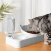 Кошачьи аксессуары продукты Pet Double Bowls Пластиковые кошачьи собачьи чаши автоматически добавляют воду, используемая для питья и употребления мисок с подставкой 210320