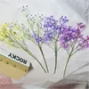 Home Decoration Simulation Babysbreath Bouquet DIY Gypsophila Paniculata Flower Banquet Party Desktop Vase Decor Flowers BH6675 WLY