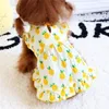 Ananasowy pies Dres Summer Pet Clote for Clothing Puppy Dree Dree Shirt Spódnica Hawajska LJ200923