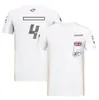 Summer F1 Polo Shirts Tshirt Casual Formula 1 Driver Tshirts Same Style Racing Fans Dry Tops Dry Abbigliamento Onniformi Custom3390993