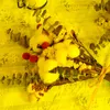 装飾的な花の花輪dddingブライダルブーケスト乾燥自然結婚イベントコットンローズゴールデンボールユーカリの葉の家の装飾