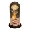 Fête Décoration Esthétique Fleur Ornement Romantique En Plastique Guirlande Lumineuse Bloom Rose Artificielle Saint Valentin Cadeau Galaxie