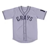 Xflsp GlaMitNess Cheap Fashion Homestead Grays Negro League Button Down Baseball Jerseys 20 Josh GIBSON Embroidery Sports Shirts High Quality