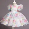 2022 Dentelle blanche mignonne Petit enfant Flower Girl Robes Princesse Jewel Cou Tulle Applique Puffy Floral Formel Formel Porter Party Communion Robe