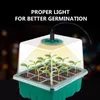 Grow Lights Pack plantorbricka med lätt växtfröstartspaglar kit växthus som växer hål 12 cell per traygrow