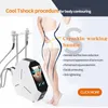 Home Beauty Instrument Cryolipolysis CE Approved Freezing & Thermal Shock System Slimming Machine for Body and Face